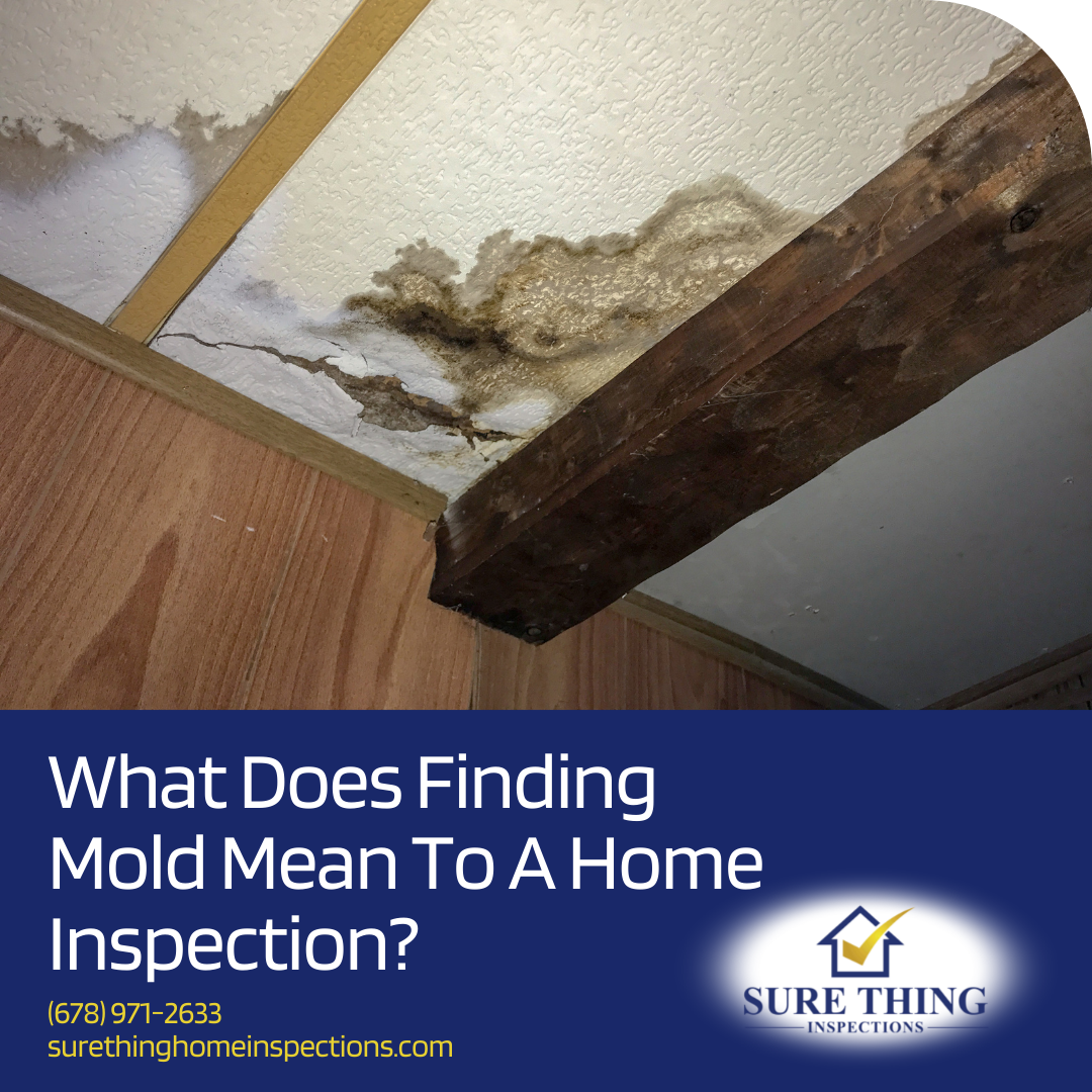 Sure Thing Home Inspections What Does Finding Mold Mean To A Home Inspection - Buford Home Inspection