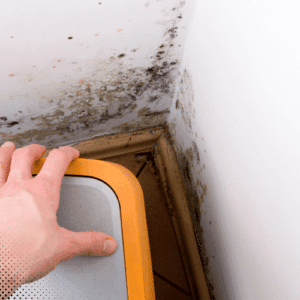 When To Walk Away After The Home Inspection - Buford Home Inspections